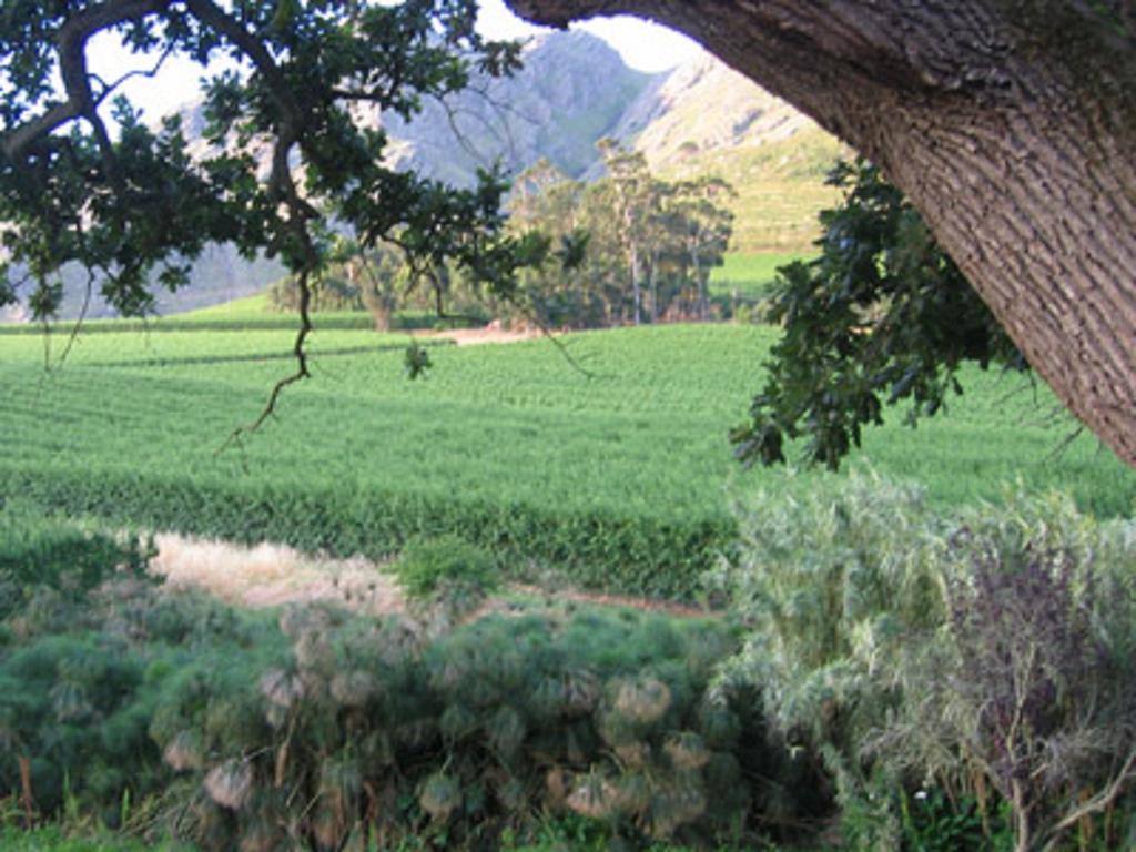Willa La Terra De Luc Franschhoek Zewnętrze zdjęcie